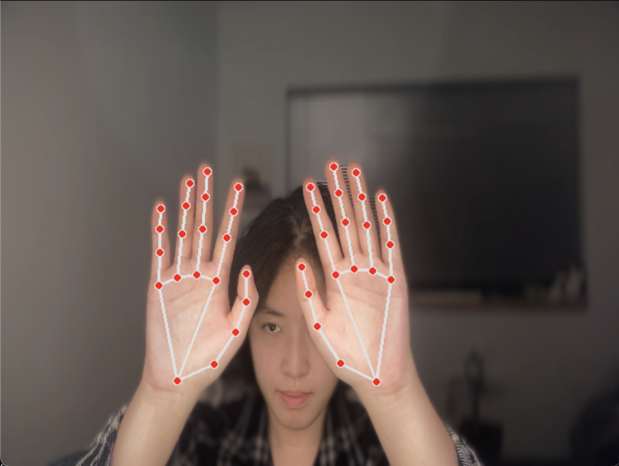 2 hands detection